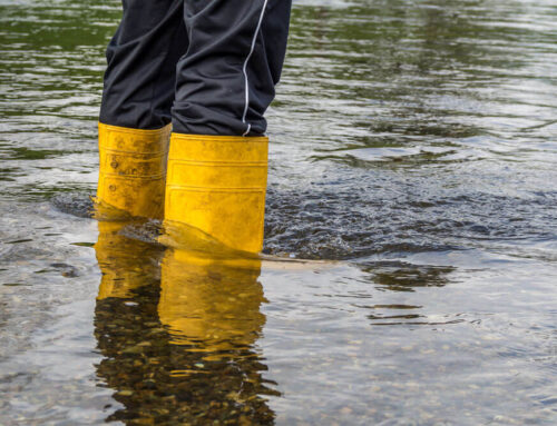 What is the Most Common Natural Disaster in the United States?